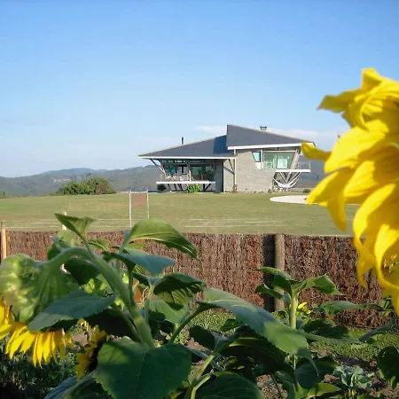 The Hidden Secret On The Cliff * Loiba